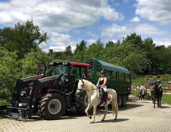 Ferienhotel Stockhausen in Schmallenberg, Foto 4