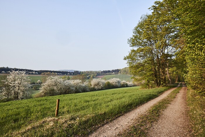 La Vallée Verte im Hotel Hohenhaus in Herleshausen, Foto 4