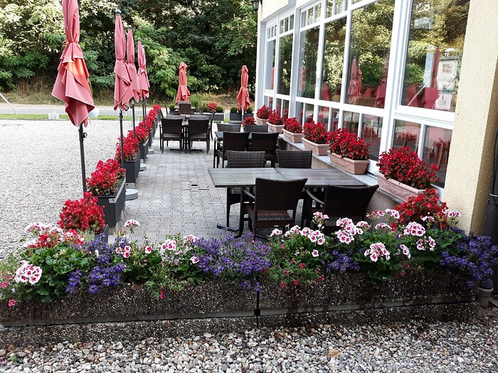 Goldbächel in Wachenheim an der Weinstraße, Foto 1