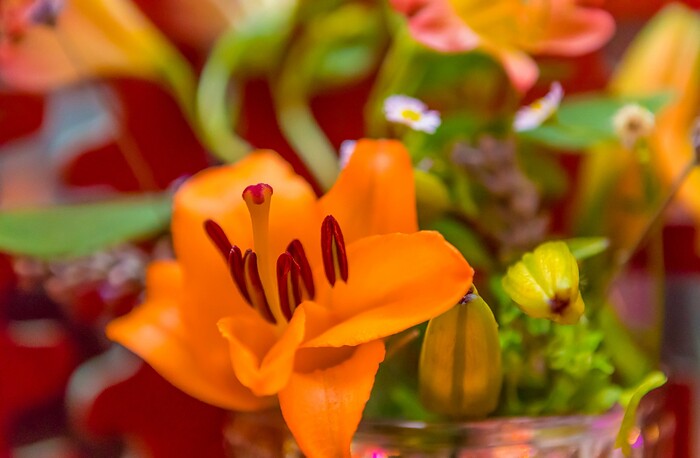 Wunderbar Weite Welt , Cafe Bar Restaurant Club in Eppstein, Foto 5