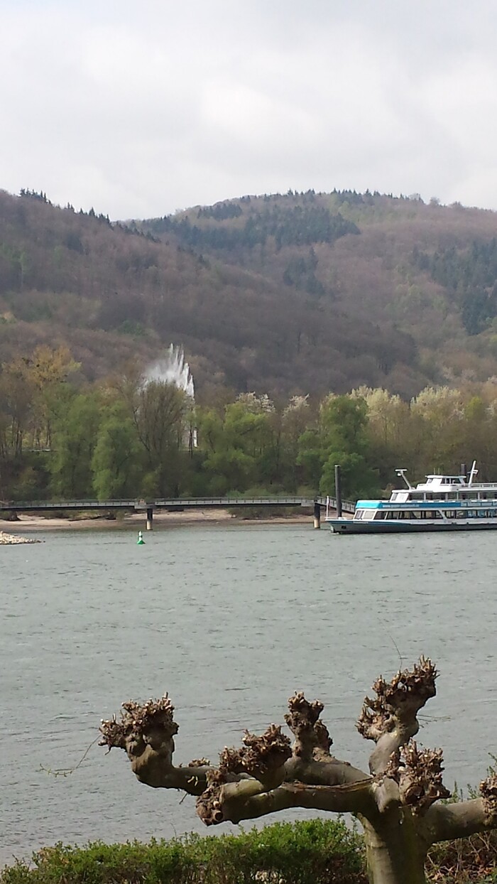 Hotel Restaurant Cafe Rheinecker Hof in Leutesdorf, Foto 1