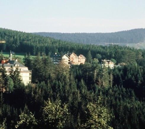 Plättig Hotel in Bühl, Foto 2