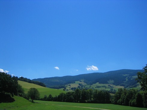Landgasthof zum Schützen*** in Oberried, Foto 2