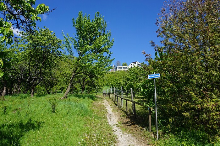 Berg Gasthof Hötzelein in Kunreuth, Foto 24