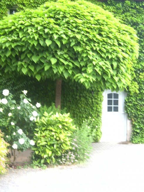 Restaurant Kunz in Köwerich, Foto 6
