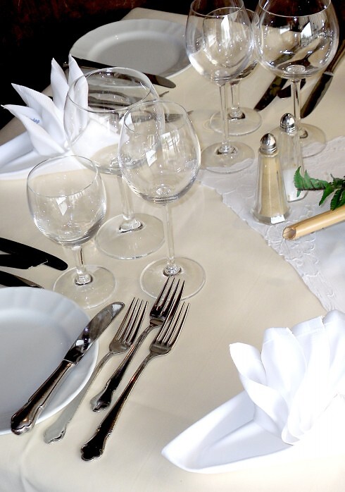 Restaurant Apfel im Rheinhotel Rheingarten in Duisburg, Foto 7