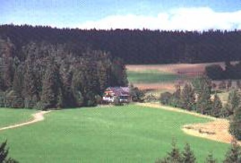 Schwarzwaldgasthaus Salenhof in Titisee-Neustadt, Foto 3