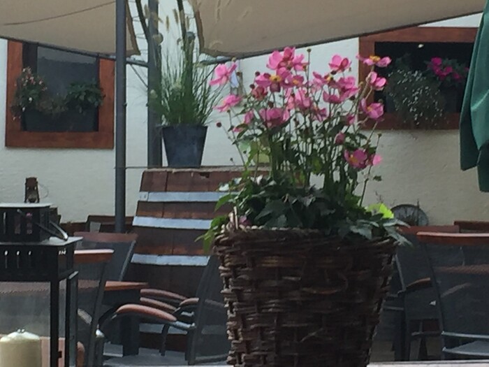 Restaurant Zur Post  in Zwingenberg, Foto 8