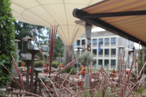 Schweicher Hof in Schweich, Foto 1