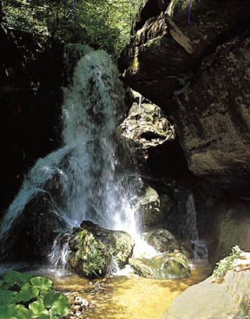 Gasthof Lichtenhainer Wasserfall in Sebnitz/ OT Lichtenhain