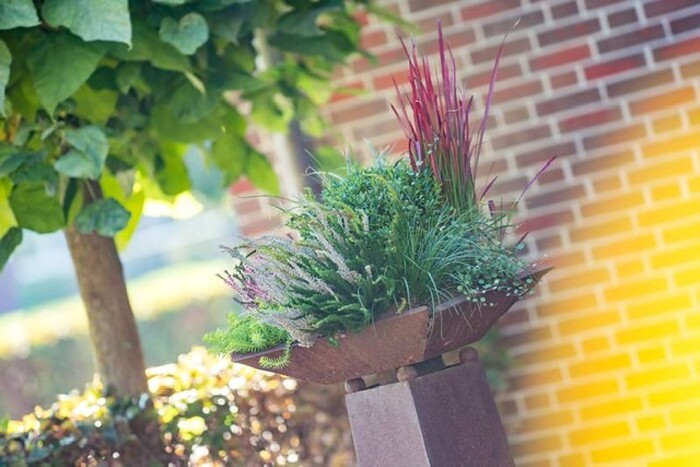 Heidekrug Bentstreek in Friedeburg, Foto 12