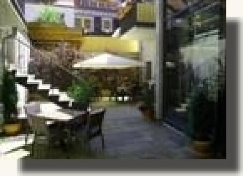 Kleiner Pfifferling in Pirna, Foto 1