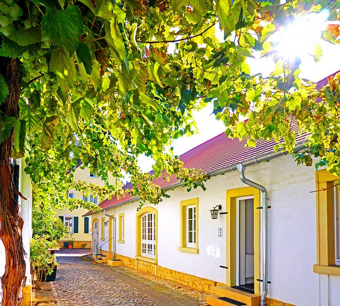 Hotel & Restaurant Annaberg in Bad Dürkheim, Foto 19