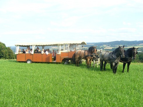 Landgasthof Hölzer in Fröndenberg, Foto 8