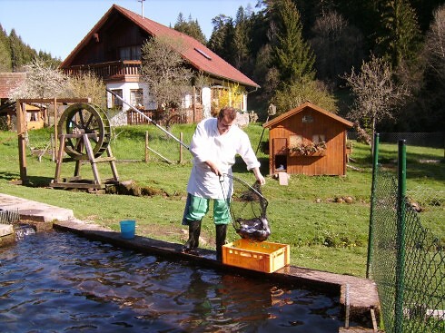  Jägerhof Kropfmühle in Seewald, Foto 2