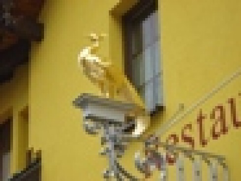 Weinstube zum Pfauen in Heidenheim an der Brenz, Foto 6
