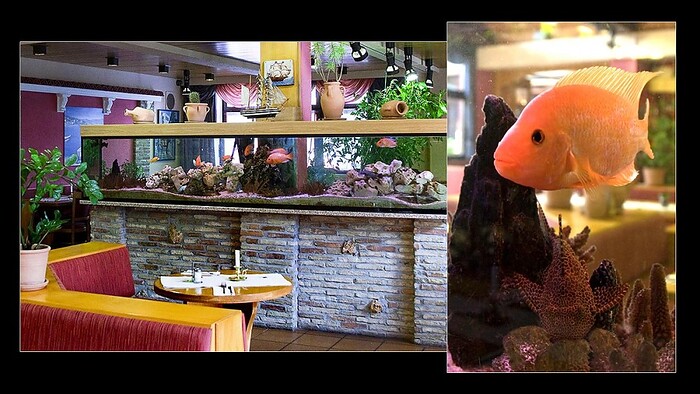 Restaurant HUBLAND in Würzburg, Foto 18