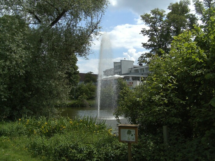 Restaurant im Hotel am Kaiserbrunnen in Brakel, Foto 2