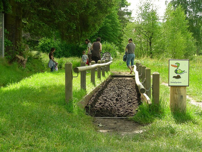 Blick zum Maimont in Ludwigswinkel, Foto 4