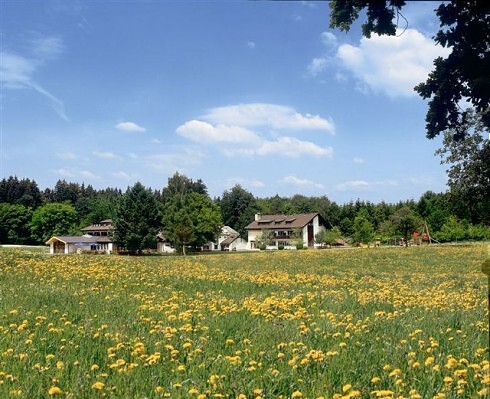 Restaurant Waldgasthof zum Geländer in Schernfeld