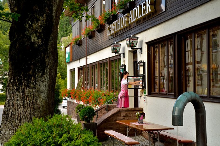 Adler in Tennenbronn, Foto 1