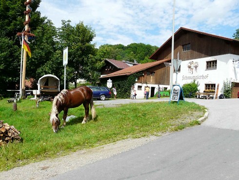 Restaurant Schmugglerhof in Grafenau