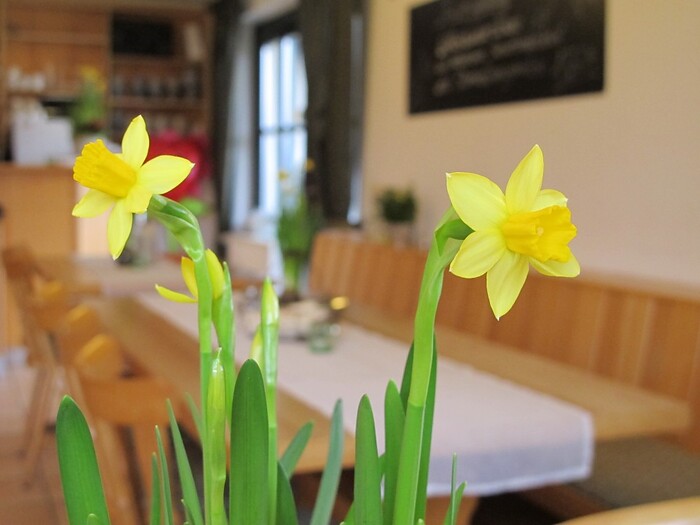 Der Roßhof in Großheubach, Foto 1