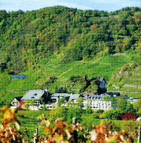Avalon Hotel Lochmühle in Mayschoß