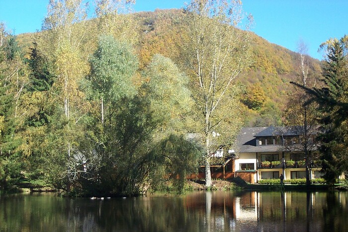 Hotel Restaurant Forellenhof Reinhartsmühle in Bruschied, Foto 1