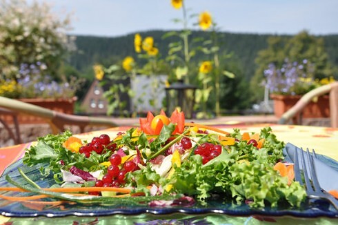 Naturhotel Gasthof Bärenfels*** in Altenberg, Foto 7