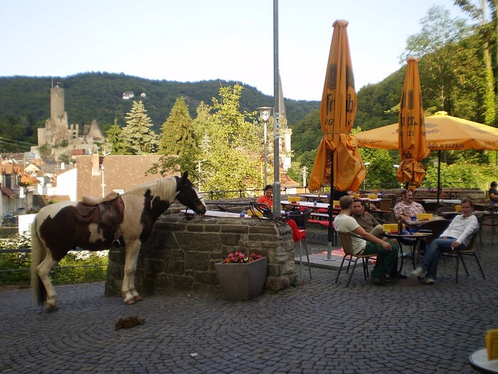 Wunderbar Weite Welt , Cafe Bar Restaurant Club in Eppstein, Foto 11