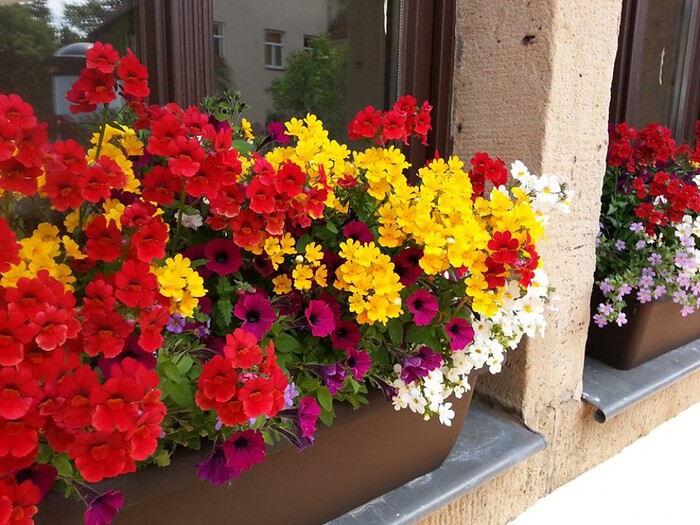 Restaurant & Hotel Schöne Aussicht in Dresden, Foto 29