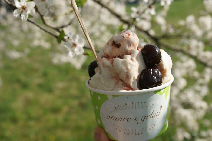 amore & gelati in Nürtingen, Foto 7