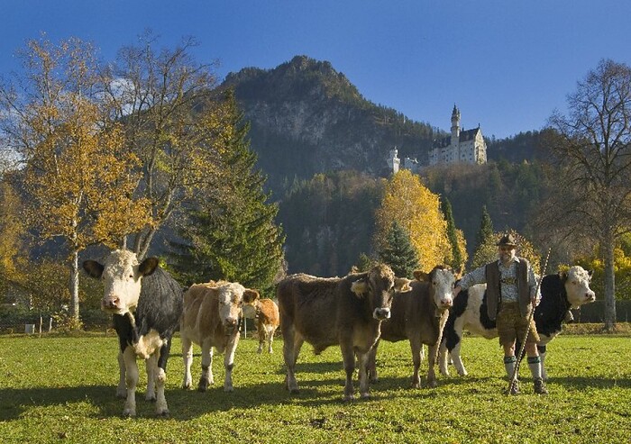 Hotel Helmer J&L Helmer GmbH&Co KG in Schwangau, Foto 2