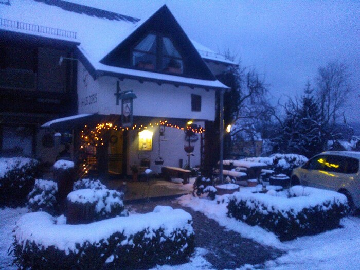 Hotel-Restaurant Haus Doris in Kell am See, Foto 9