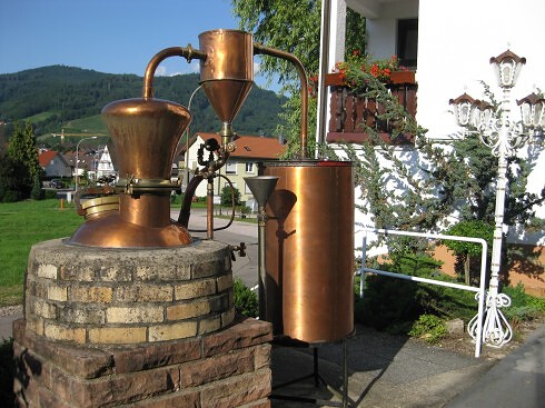Hotel Gasthof Renchtalblick  in Oberkirch, Foto 7