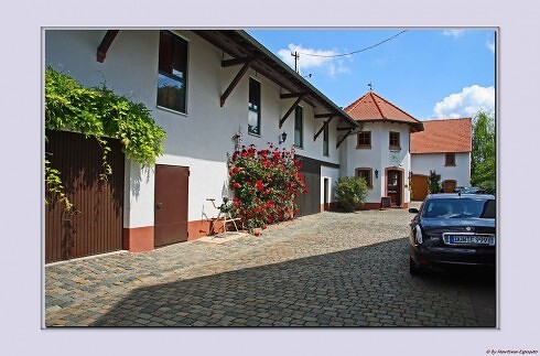 Landgasthaus Zur Traube in Bockenheim an der Weinstraße, Foto 11