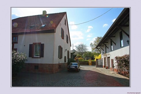 Landgasthaus Zur Traube in Bockenheim an der Weinstraße, Foto 10