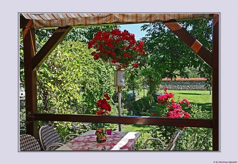 Landgasthaus Zur Traube in Bockenheim an der Weinstraße, Foto 4