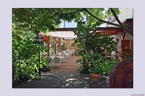 Landgasthaus Zur Traube in Bockenheim an der Weinstraße, Foto 3