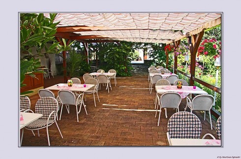 Landgasthaus Zur Traube in Bockenheim an der Weinstraße, Foto 2