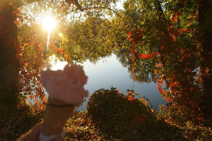 amore & gelati in Nürtingen, Foto 18