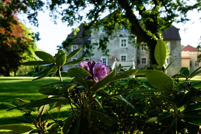Wasserschloss Mellenthin in Mellenthin, Foto 4