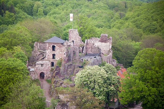 Restaurant Burggasthof Hohnstein in Neustadt/Harz