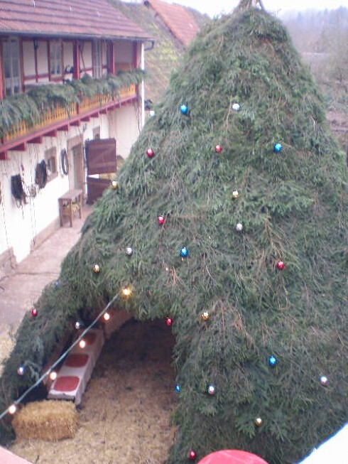 ROTER OCHSE Seßlach in Seßlach, Foto 5