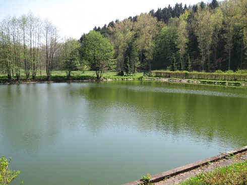 Restaurant Krillemühle in Blankenstein