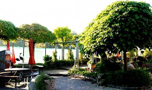 Restaurant im Tenniscenter Bissendorf in Bissendorf, Foto 14