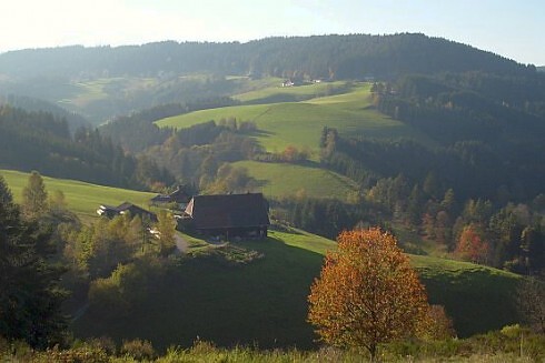 Schwarzwaldgasthaus Linde in Tennenbronn, Foto 5