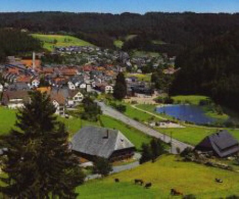 Schwarzwaldgasthaus Linde in Tennenbronn, Foto 1