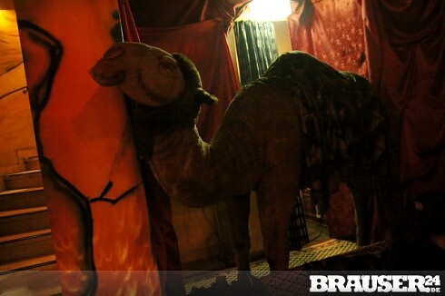 Ava Lounge in Kassel, Foto 4
